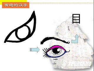 有趣的漢字活動總結(jié)范文