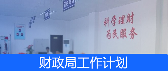財政局2019年工作總結及2020年工作計劃模板